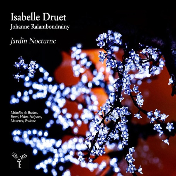 Jardin nocturne