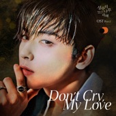 Don't Cry, My Love artwork