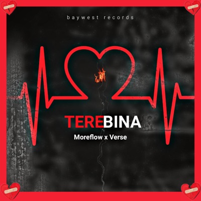 Tere bina (feat. Verse & Swak__itis) - Single