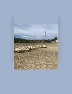 Listen to herm, watch music videos, read bio, see tour dates & more!