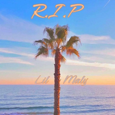 R.I.P. - Single