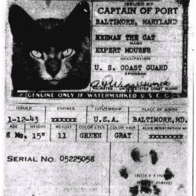 No Escape (feat. Yung Kontra) - Single