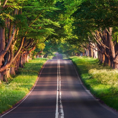 Trenart muse - Musicee