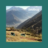 Leaving Town, Moving To a National Park by Bedbug