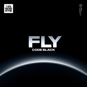 Fly - Single