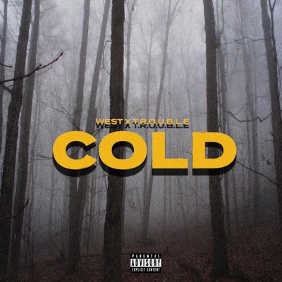 Cold (feat. Trouble) - Single
