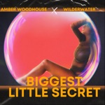 Amber Woodhouse & Wilderwater - Biggest Little Secret