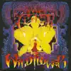 Wild Flower Extended Rock Mix