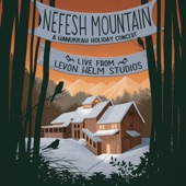 Nefesh Mountain - Hanukkah Dance (Live)