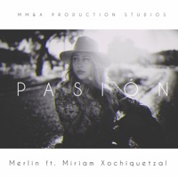 Pasión - Single - Merlín Burgos