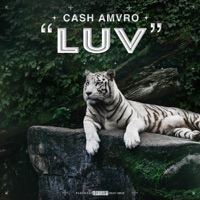 Luv - Cash Amvro