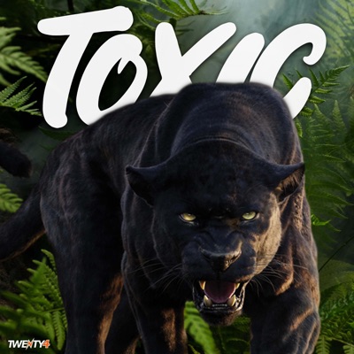 Toxic (Extended Mix) - Single