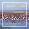 Stray From The Path Snake In the Grass Strolling Along (Deluxe Edition)