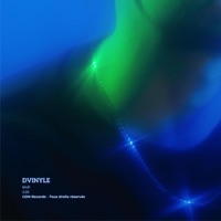 MVP - Single - DVinyle