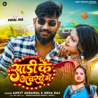 Sadi Ke Acharawe Mein (feat. Payal Jha) - Single - Ankit Agrawal & Neha Raj