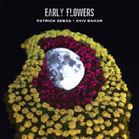 Early Flowers - Single - פטריק סבג & אביב בכר