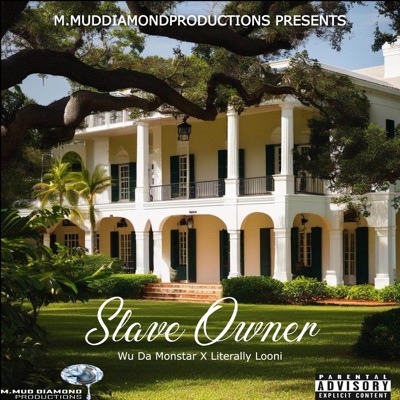 Slave Owner (feat. Looni) - Single