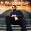 If You Dont Mind (feat. Lamar Kelsey) - Single