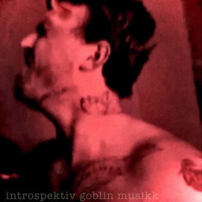 Introspektiv Goblin Musikk