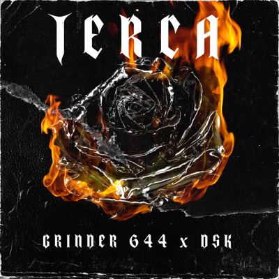 Terca (feat. DSK) - Single