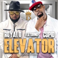 ELEVATOR (feat. CUPID) - Single - Royal D