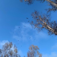 Eternal - EP - halfbludprince