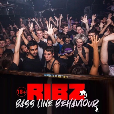 Bassline Behaviour - Single