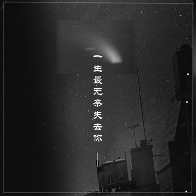 一生最无奈失去你 - Single