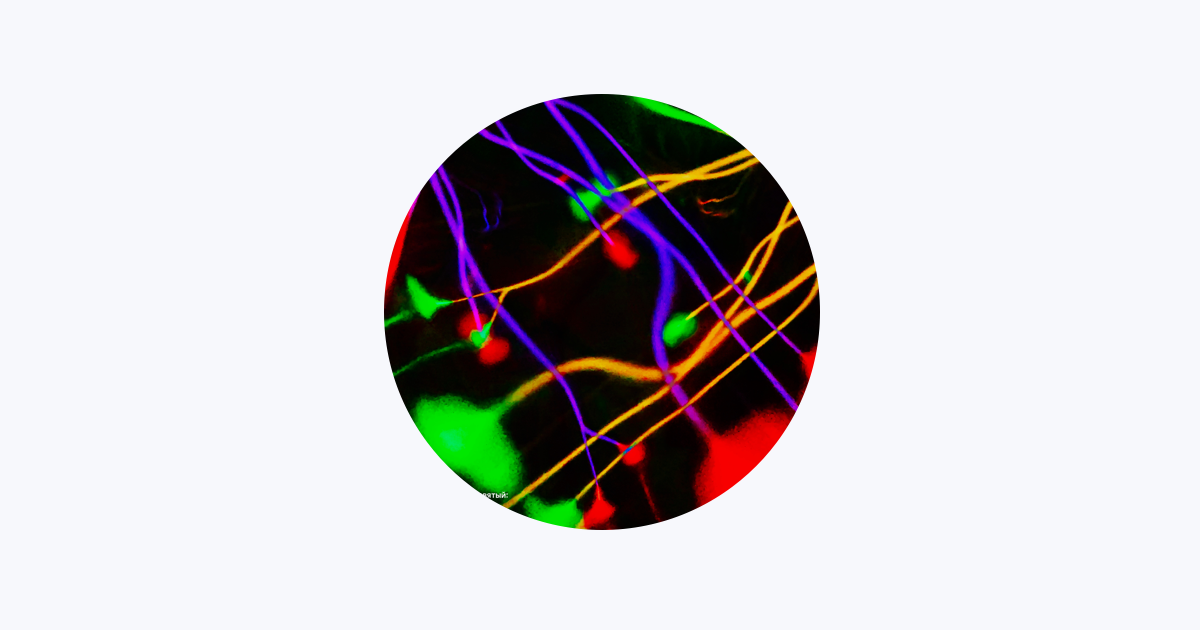 X-Dream - Apple Music