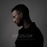 Wegen Dir — Joel Brandenstein