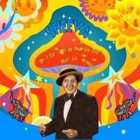 Dă-I Cu Șprițul Pân-La Ziuă - Single - Sheeva