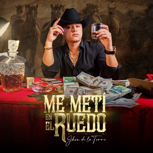 Me Metí en el Ruedo
