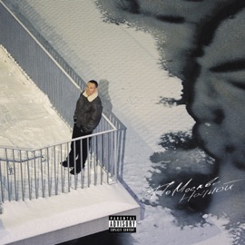 Голосовые Luxor