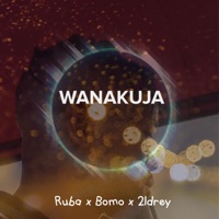 Wanakuja (feat. Ruba lightz & 21drey) - Single - Bomo