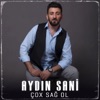 Çox Sağ Ol - Single