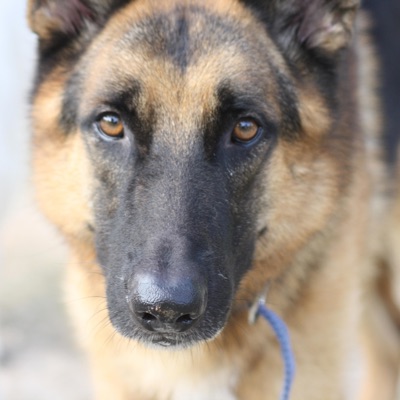 Votre Personnalité N'est Qu'une Illusion - Single