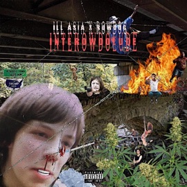 INTEROWDOLUDE (feat. Rowdog) ILL ASIA