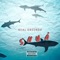 Shuá - Real Greengo lyrics