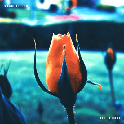 Let It Hurt - Single