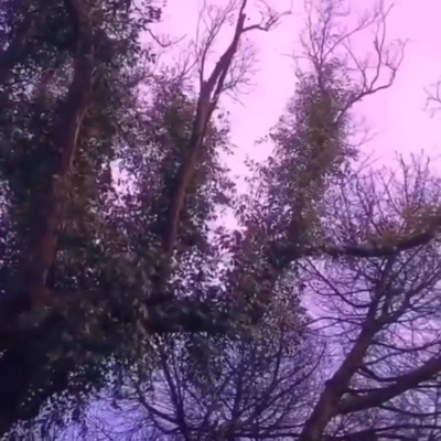 You Disappointed Me - Single