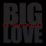 Big Love - Single