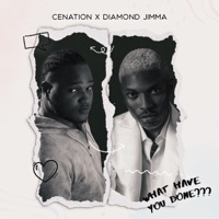What Have You Done (WHYD) (feat. Diamond Jimma) - Single - CeNation