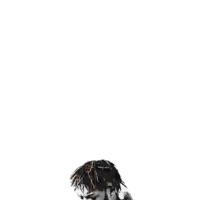 Cold - Single - Blvck Mitch