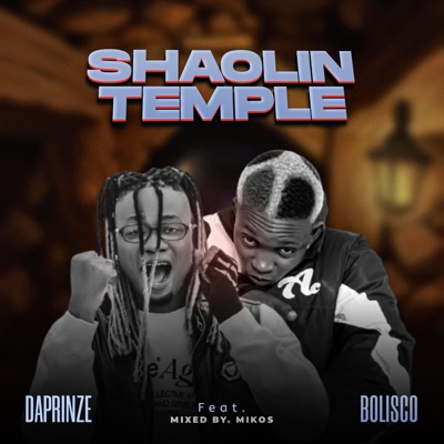 Daprinze shaolin temple (feat. Bolisco) - Single