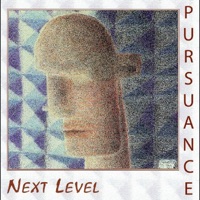 Next Level - Ron Bosse