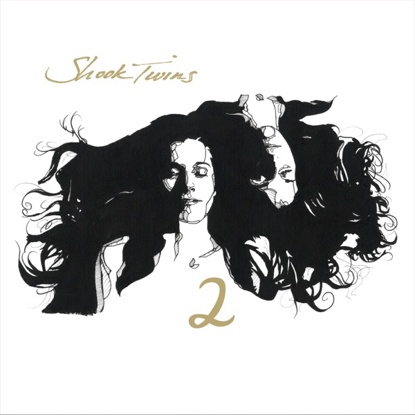 Safe - Acoustic by Shook Twins on Go Folk