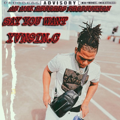 Say You Want - Single