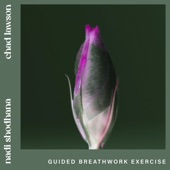 nadi shodhana (guided breathwork exercise) - EP artwork