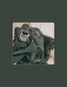 Grayson Lowを聴いたり、ミュージックビデオを鑑賞したり、経歴やツアー日程などを確認したりしましょう！