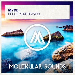 Fell from Heaven - Single